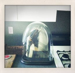 365 days — Laziz Hamani