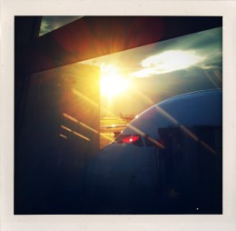 365 days — Laziz Hamani