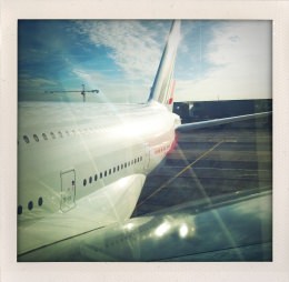 365 days — Laziz Hamani