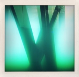 365 days — Laziz Hamani