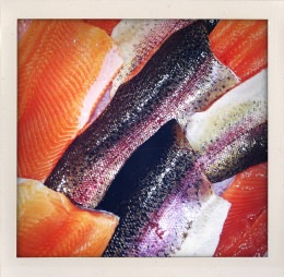 365 days — Laziz Hamani