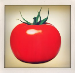 365 days — Laziz Hamani