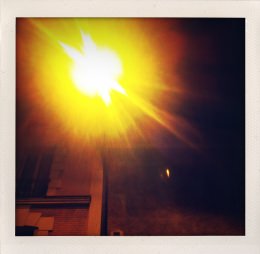 365 days — Laziz Hamani