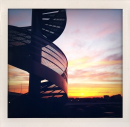 365 days — Laziz Hamani