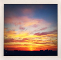 365 days — Laziz Hamani