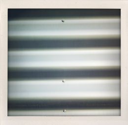 365 days — Laziz Hamani