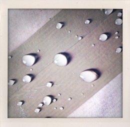 365 days — Laziz Hamani