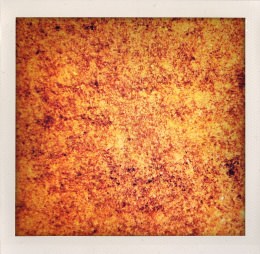 365 days — Laziz Hamani