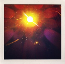 365 days — Laziz Hamani