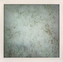 365 days — Laziz Hamani