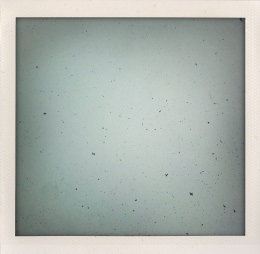 365 days — Laziz Hamani