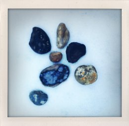 365 days — Laziz Hamani