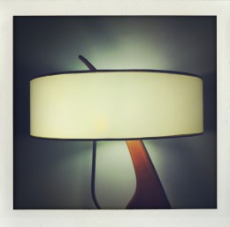 365 days — Laziz Hamani