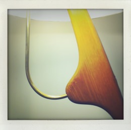 365 days — Laziz Hamani