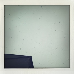 365 days — Laziz Hamani