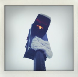 365 days — Laziz Hamani