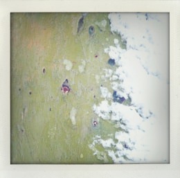 365 days — Laziz Hamani