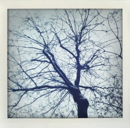 365 days — Laziz Hamani