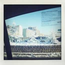 365 days — Laziz Hamani