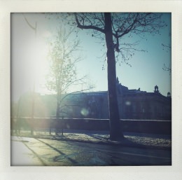 365 days — Laziz Hamani