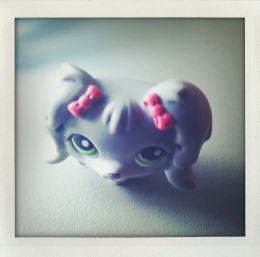 365 days — Laziz Hamani