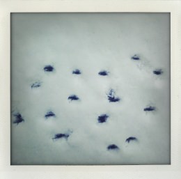 365 days — Laziz Hamani