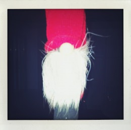 365 days — Laziz Hamani