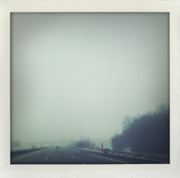 365 days — Laziz Hamani