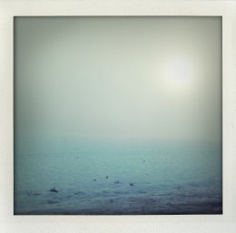 365 days — Laziz Hamani