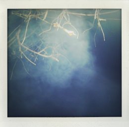 365 days — Laziz Hamani