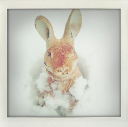 365 days — Laziz Hamani