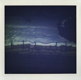 365 days — Laziz Hamani