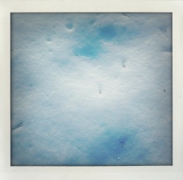 365 days — Laziz Hamani