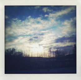 365 days — Laziz Hamani