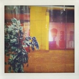 365 days — Laziz Hamani