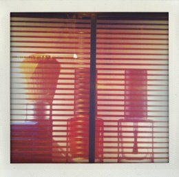 365 days — Laziz Hamani