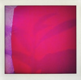 365 days — Laziz Hamani