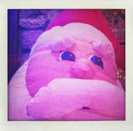 365 days — Laziz Hamani