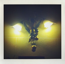 365 days — Laziz Hamani