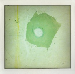 365 days — Laziz Hamani