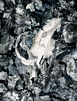 Barbecue — Laziz Hamani