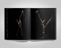 Studio — Laziz Hamani