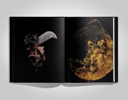 Studio — Laziz Hamani