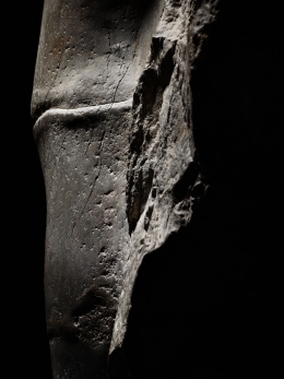 Axel Vervoordt – Tra — Laziz Hamani