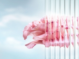 Lancôme – Absolue Silky — Laziz Hamani