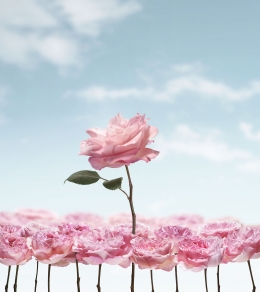 Lancôme – Absolue Silky — Laziz Hamani