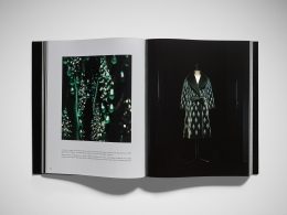 Dior by Marc Bohan — Laziz Hamani