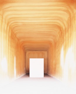 Journey of an unfinished canvas – Biennale of Venice 2009 — Laziz Hamani
